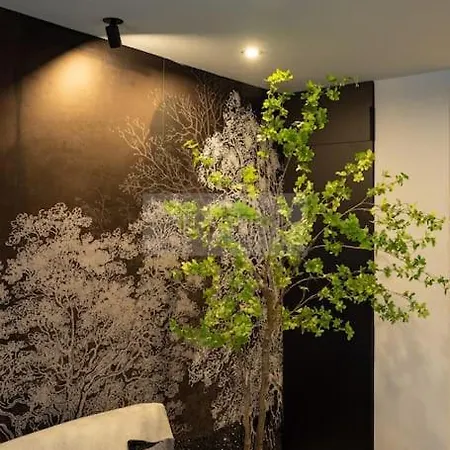 El Bosque Del Puerto By Silastur خيخون