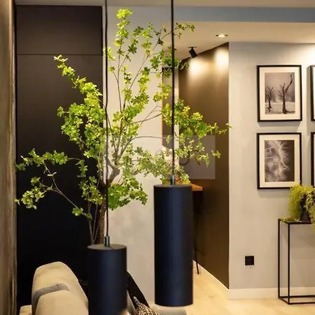 Apartment El Bosque Del Puerto